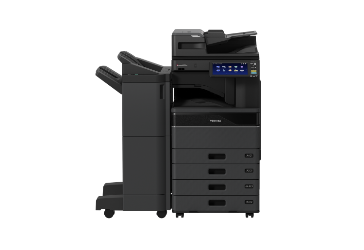 eS6525AC DSDF 4cst 1113 F